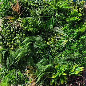 Категория Изкуствени растения. Зелена стена изображение