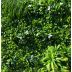 Декоративно растително пано Green Wall 100х100 см. ICNT 19100100, Интер Керамик 3