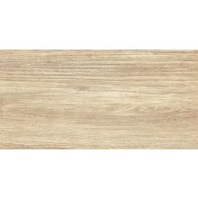 Гранитогрес Ferri Olmo 30.3/60.6 9061A21, Izida Ceramica