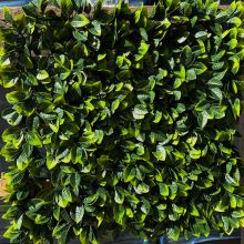 Декоративно растително пано Green Wall 50х50 см. ICNT 125050, Интер Керамик