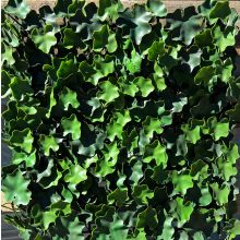 Декоративно растително пано Green Wall 50х50 см. ICNT 155050, Интер Керамик