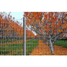 Заварена мрежа руло 25х25 мм. h=1.0 м. ф1.4 мм. 25м.