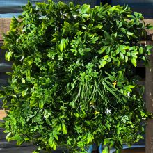 Декоративно растително пано Green Wall 50х50 см. ICNT 135050, Интер Керамик