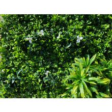 Декоративно растително пано Green Wall 100х100 см. ICNT 19100100, Интер Керамик